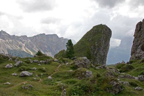 500_pieralongia_4058