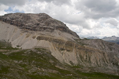 500_stevia_oben_4131