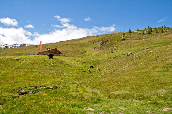 6_9_innerschwemm_2182