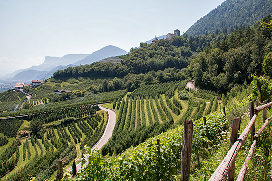 Ende des Waals: Schloss Lebenberg