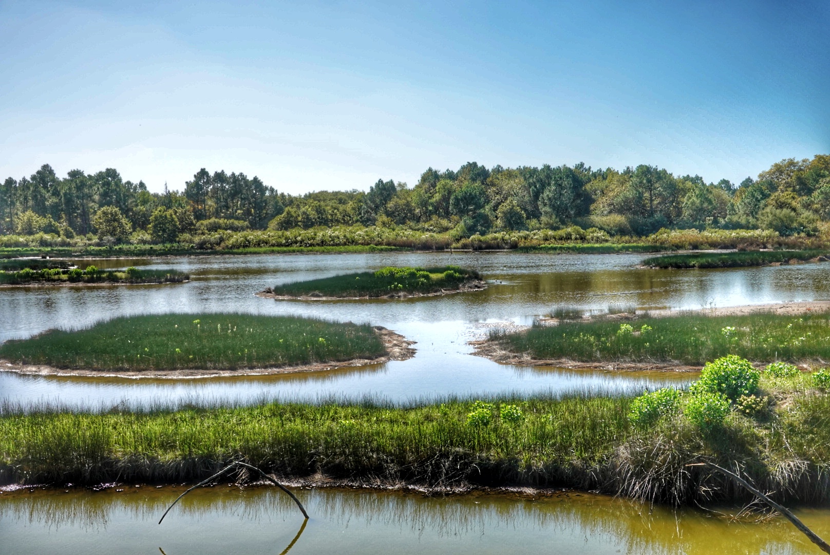 Parc ornithologique Le Teich
